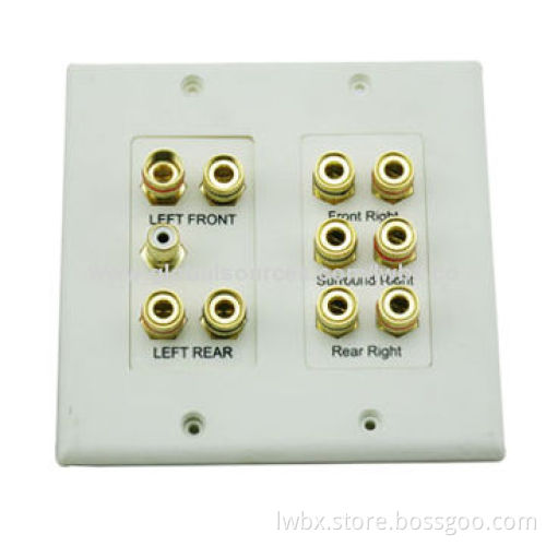 5.1 Surround Sound Distribution Wall Plate